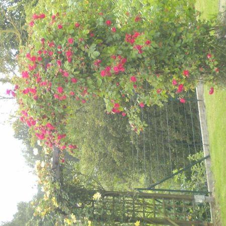 Au Fil De L'Eau Bed & Breakfast Saulzoir Dış mekan fotoğraf